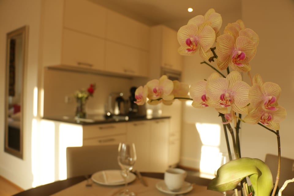 Superior Studio | Private kitchenette | Coffee/tea maker, electric kettle, cleaning supplies, paper towels