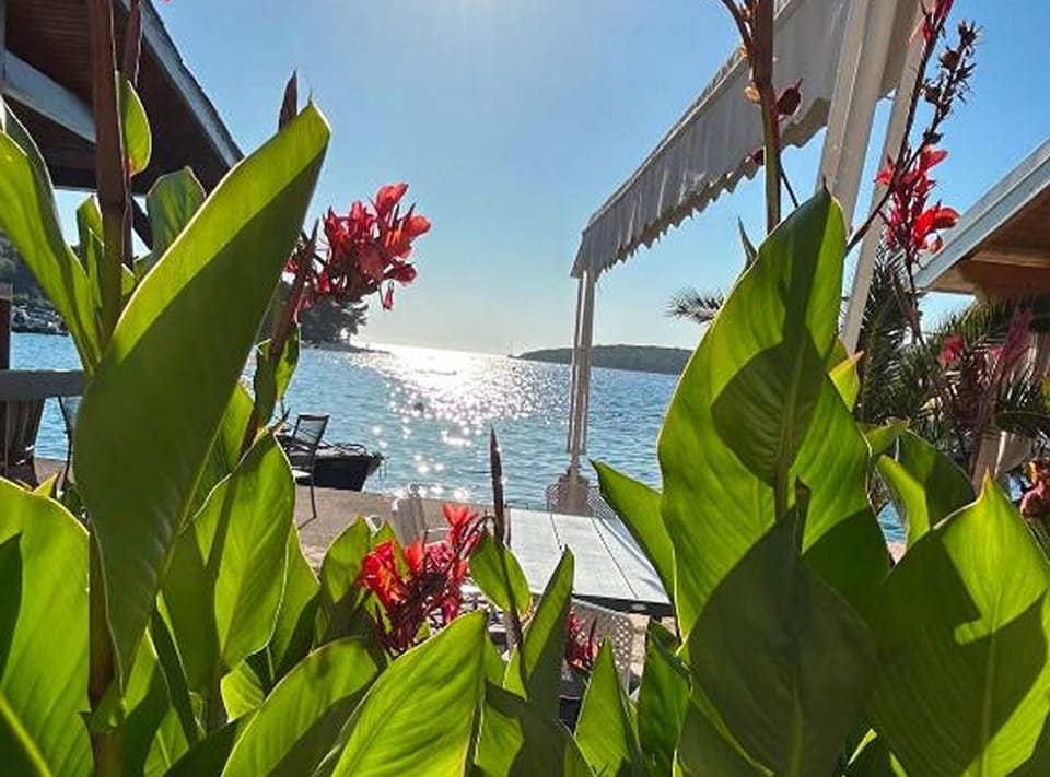 Apartment (Three Bedroom Apartment with Sea View) | View from property