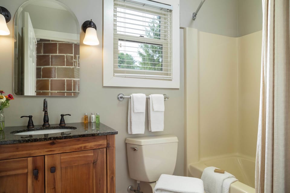 Deluxe Room, 1 Queen Bed | Bathroom | Shower, free toiletries, hair dryer, towels