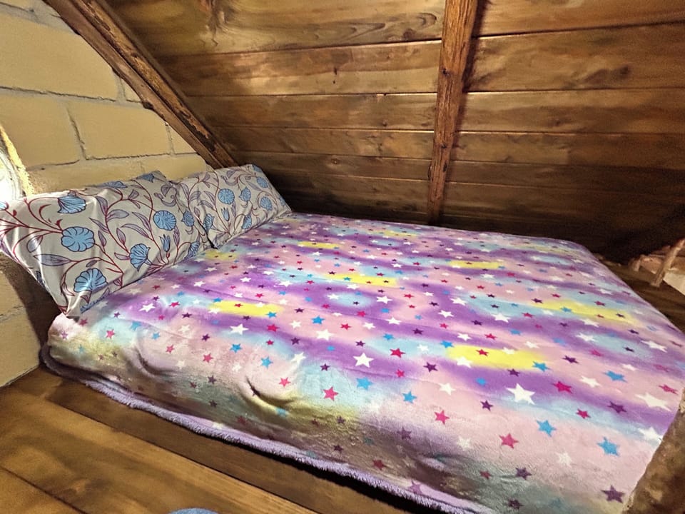 Family Room, Patio, Mountain View | WiFi (free), bed sheets