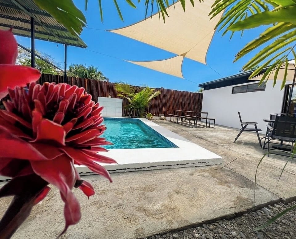 Family Apartment, Pool View | Pool | Outdoor pool