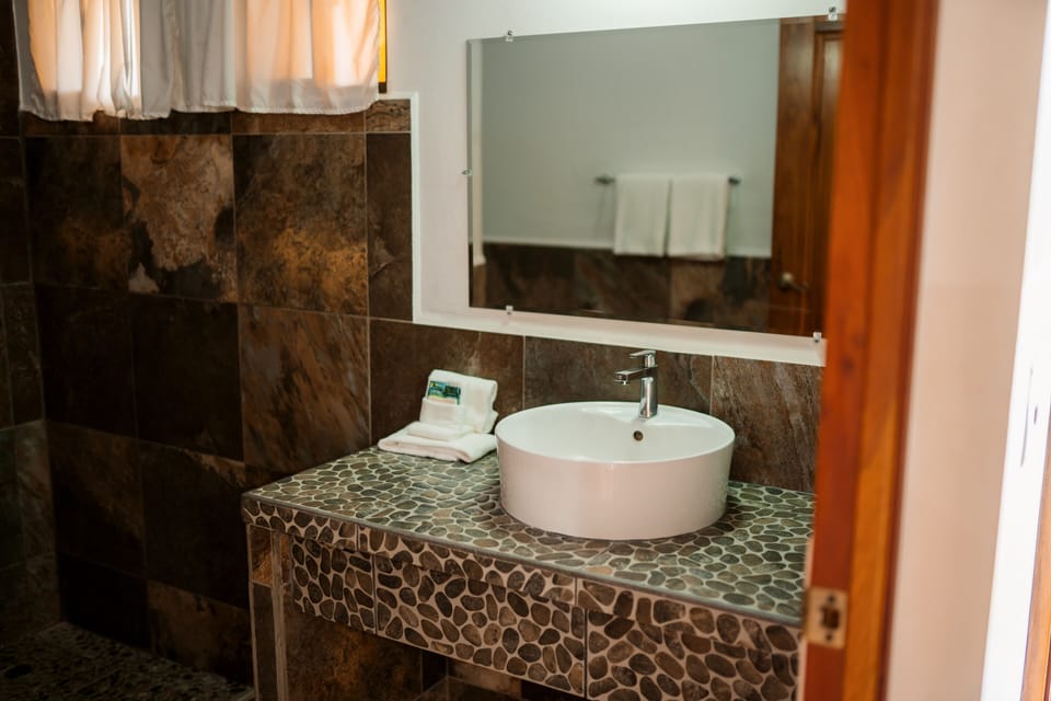 Shower, free toiletries, hair dryer, towels