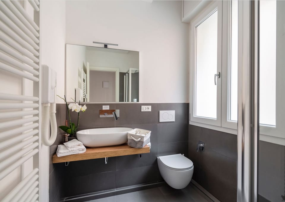 Basic Room | Bathroom | Shower, hair dryer, towels, soap