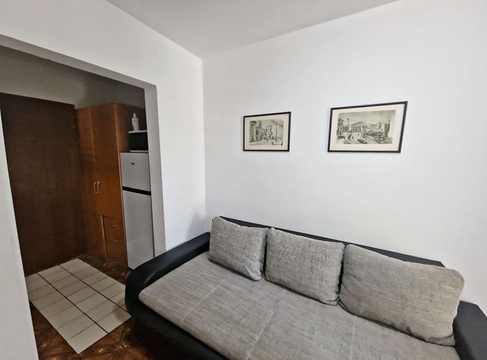 Apartment (One Bedroom Apartment with Terrace) | Living room | 32-inch flat-screen TV with satellite channels