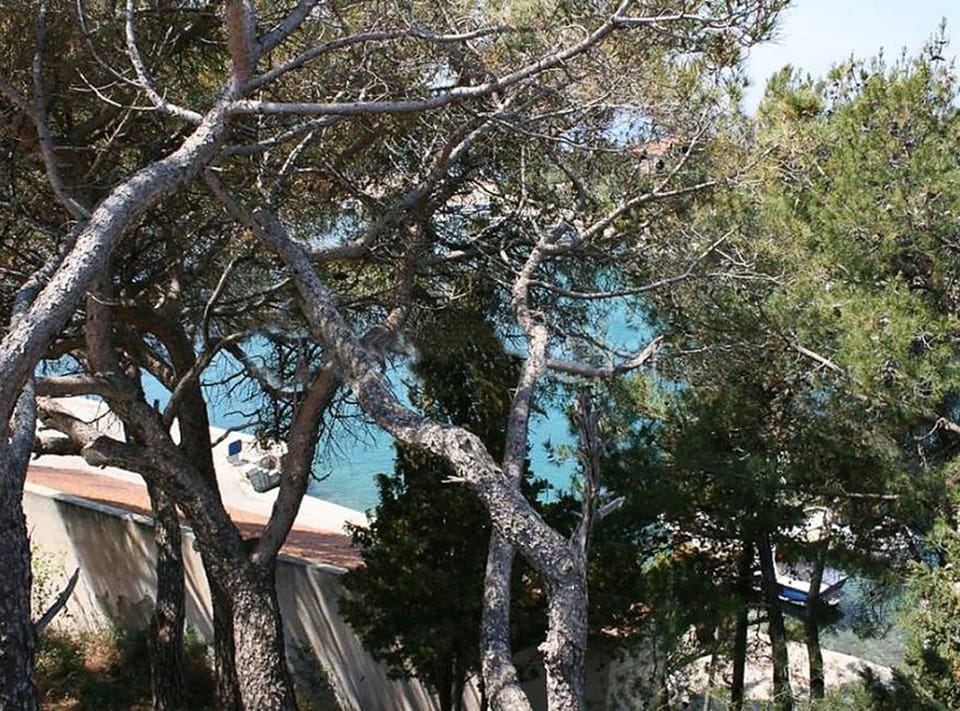 Apartment (Comford One Bedroom Apartment with Te) | Exterior