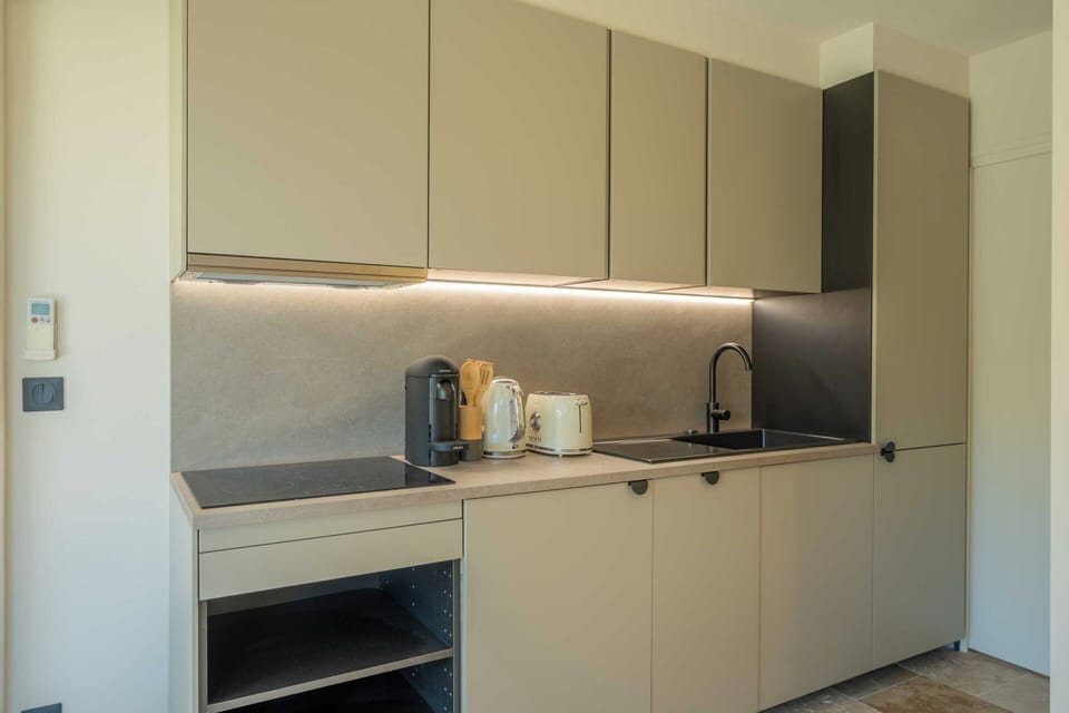 Apartment | Private kitchen | Coffee/tea maker, fridge, microwave, stovetop