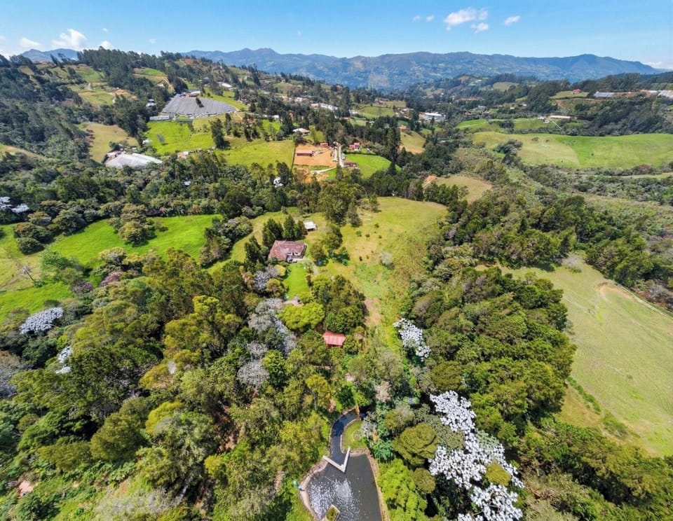 Comfort Cabin, Lake View | Aerial view