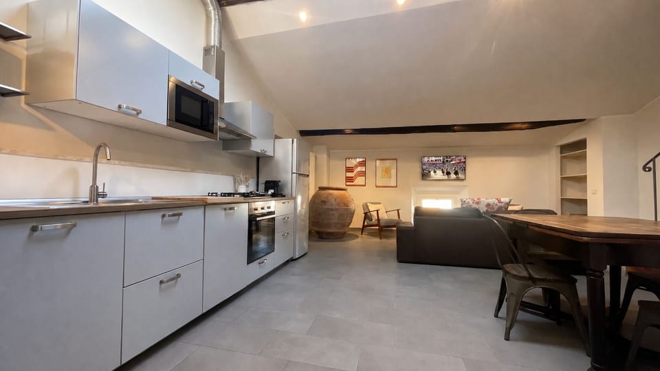Superior Penthouse, City View | Private kitchen | Fridge, microwave, oven, stovetop
