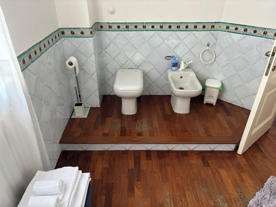 Deluxe Suite, City View | Bathroom | Shower, hair dryer, towels, soap