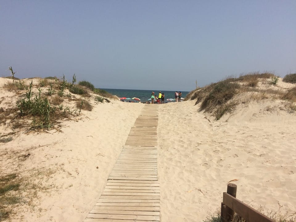 Penthouse Higuericas Playas Apartment in Vega Baja del Segura