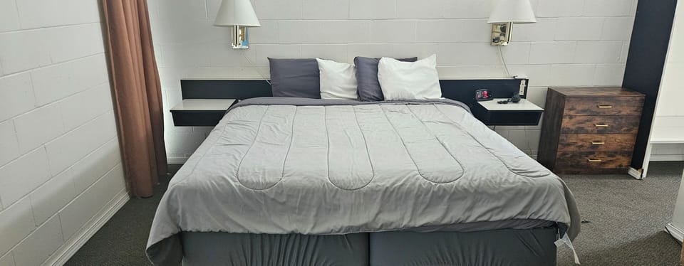 Room, 1 King Bed, Non Smoking | Desk, blackout drapes, iron/ironing board, free WiFi