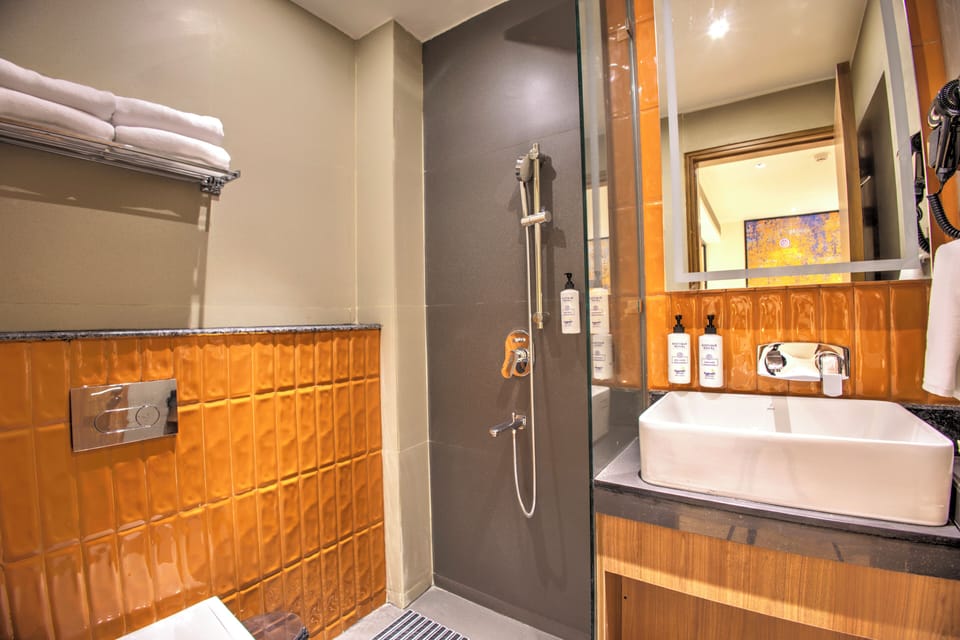 Club Room, City View | Bathroom | Shower, hair dryer, towels, shampoo
