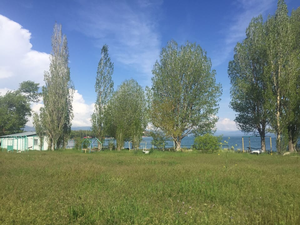 BBQ/picnic area