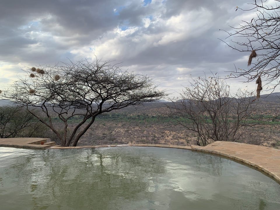 Cottage, Garden View | Pool