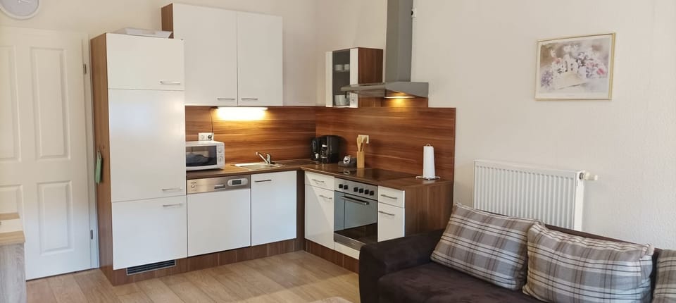 Comfort Apartment, Balcony | Private kitchen | Full-size fridge, microwave, stovetop, dishwasher