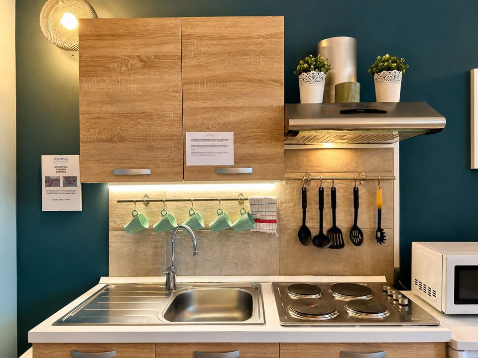 Deluxe Apartment, 1 Bedroom, Kitchenette | Private kitchen
