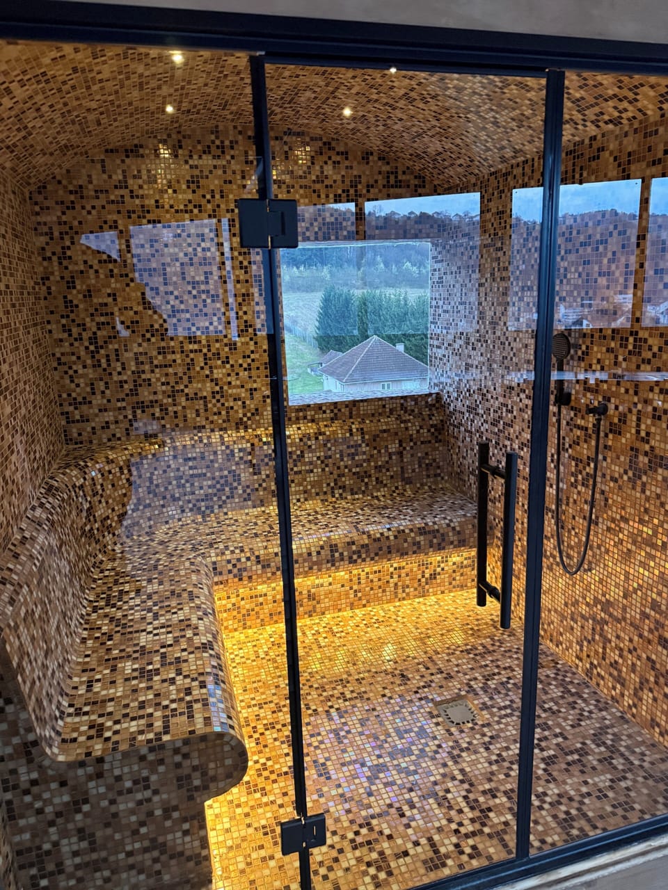 Sauna, hot tub, steam room