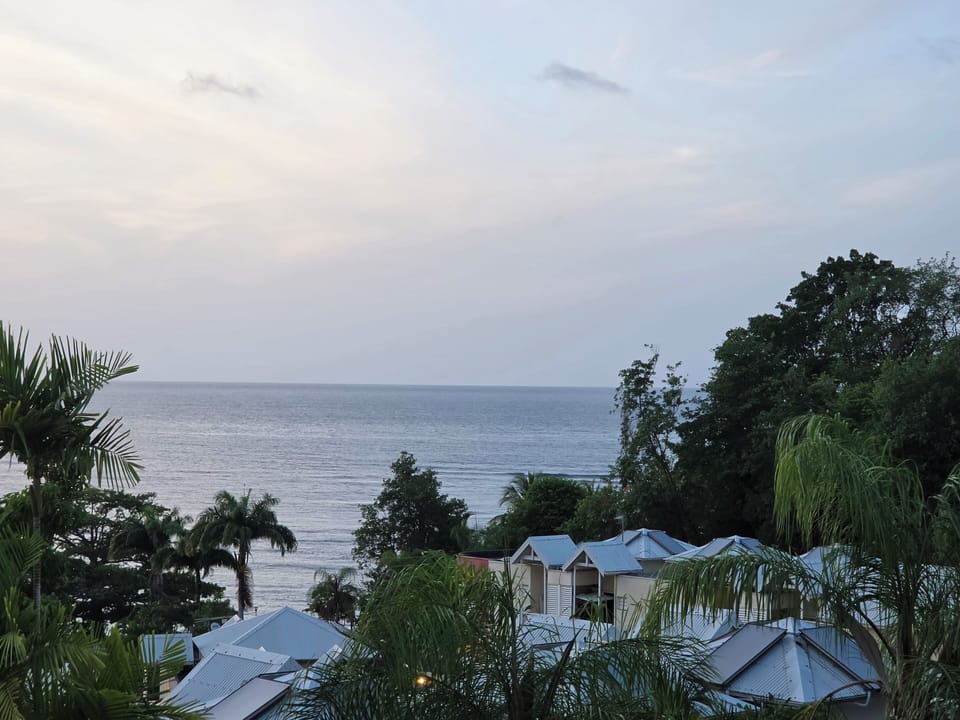 Comfort Suite, Balcony, Ocean View | Miscellaneous