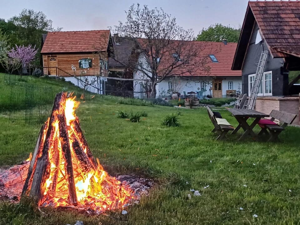 House | Garden