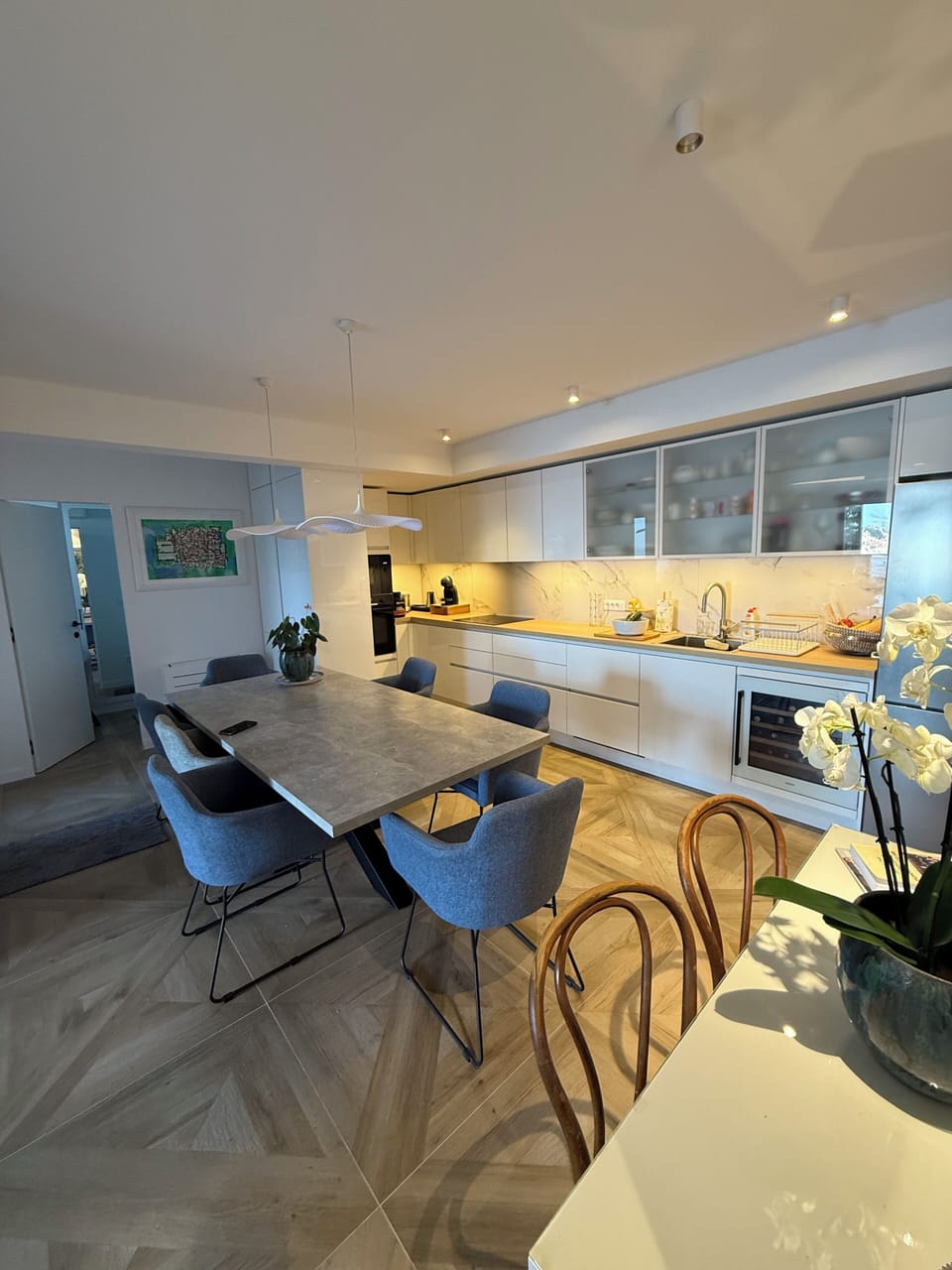 Deluxe Apartment, Non Smoking | Private kitchen | Coffee/tea maker, electric kettle, freezer