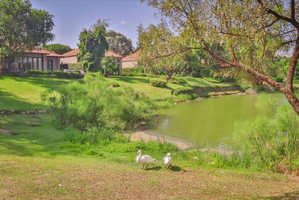 House, 4 Bedrooms, Accessible, Private Pool | Property grounds