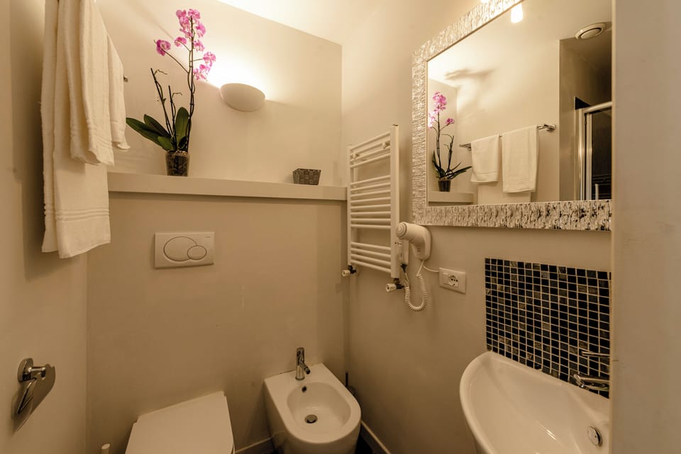 Shower, free toiletries, slippers, soap