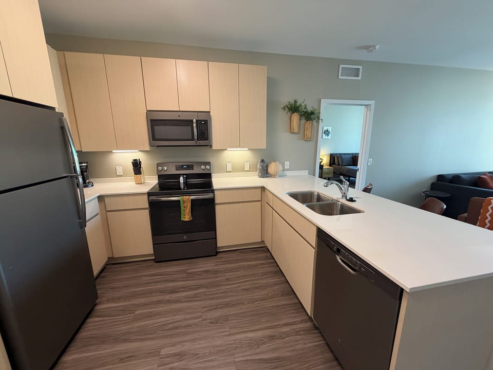 Deluxe Apartment | Private kitchen | Fridge, microwave, oven, stovetop