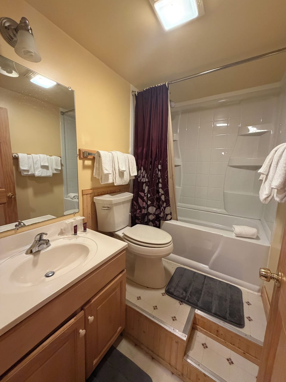 Premium Suite, Multiple Beds | Bathroom | Shower, free toiletries, towels, soap