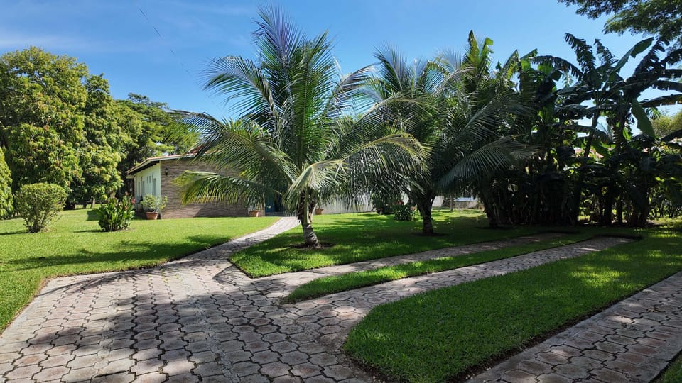 House, 3 Bedrooms | Property grounds