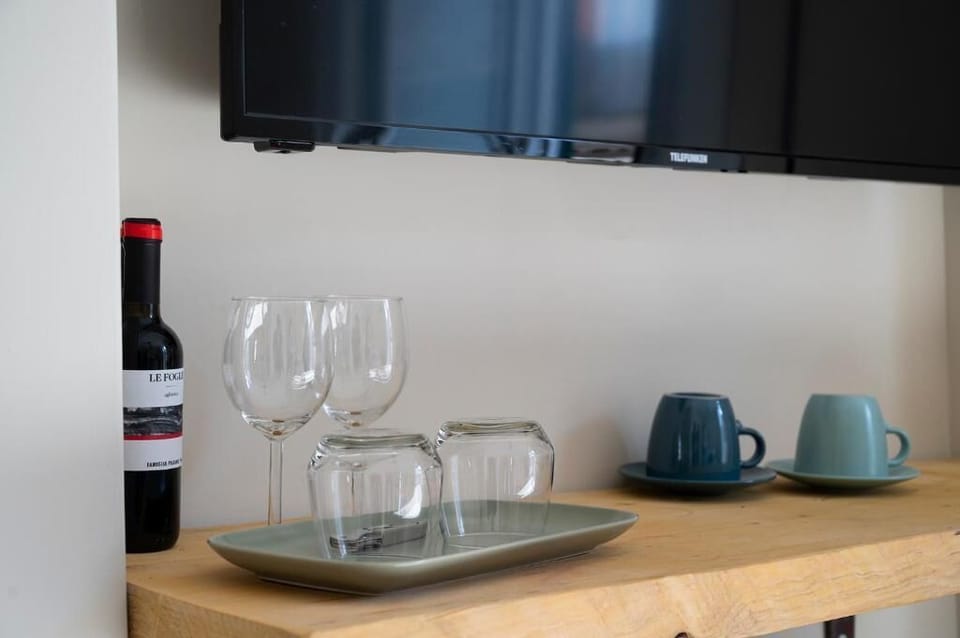 Television