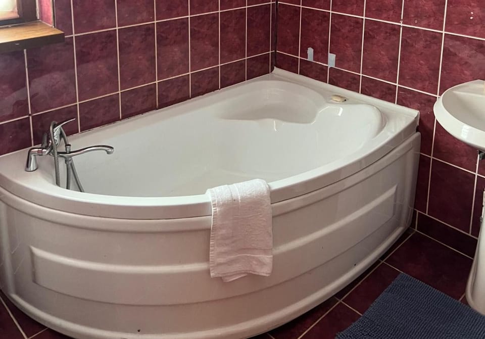 Roman Villa, Sleeps 8 With Parking and Garden Villa in Romania