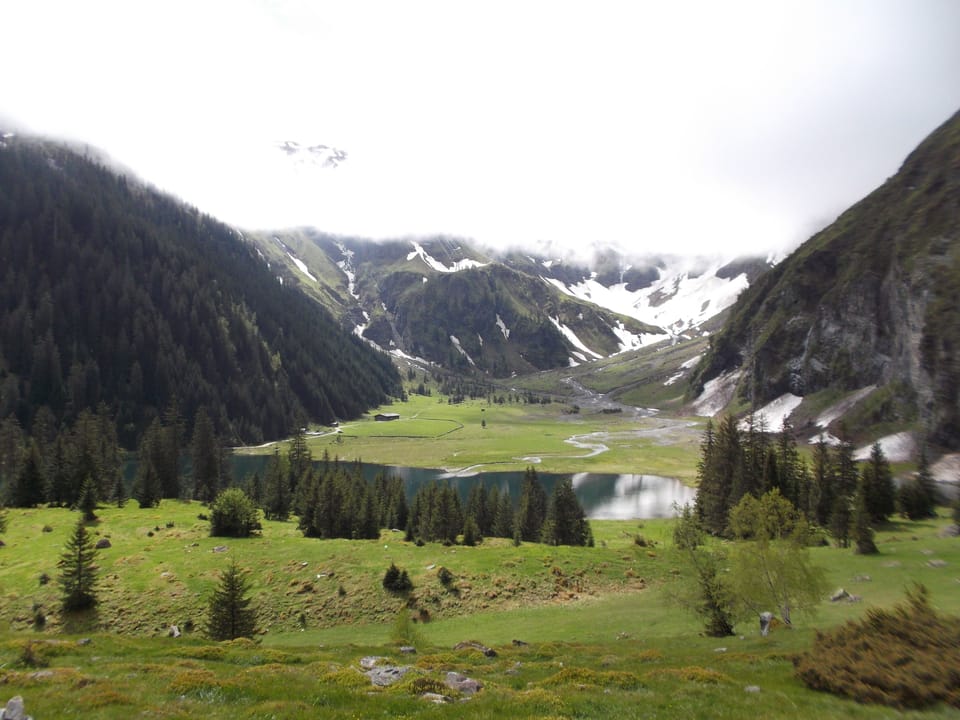 Mountain view