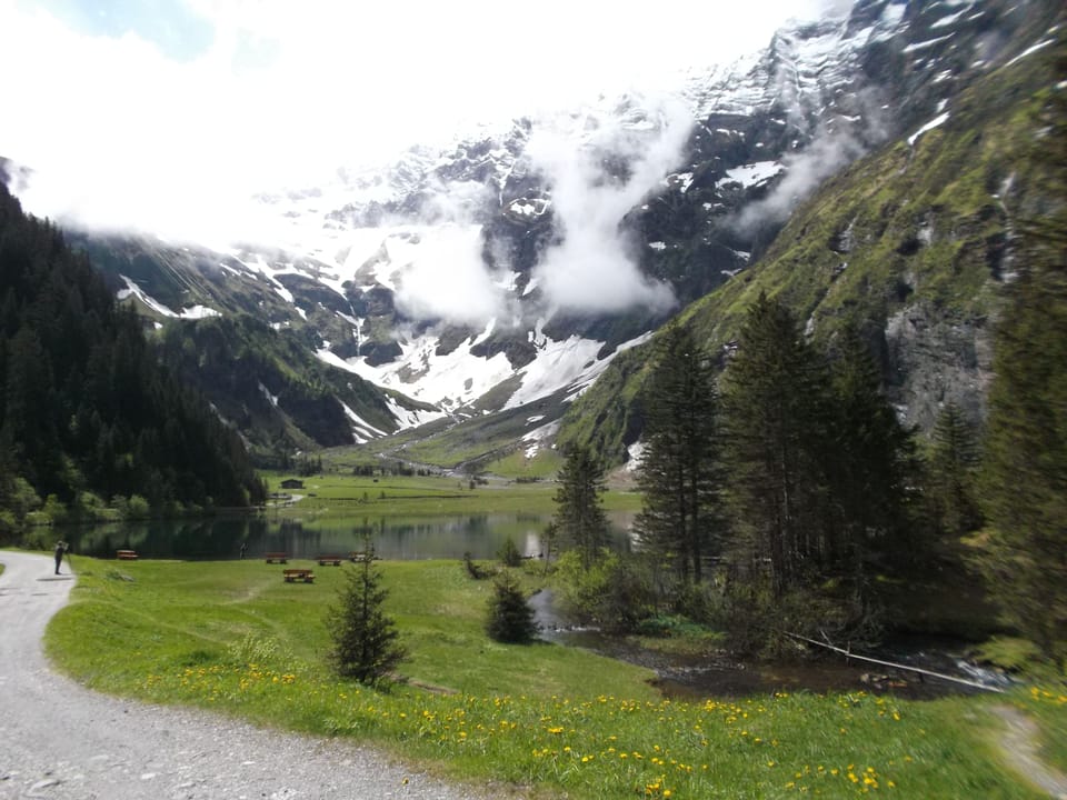 Mountain view