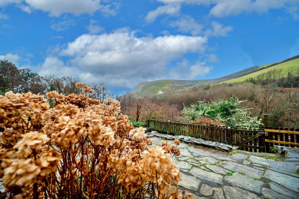 Cottage | View from property