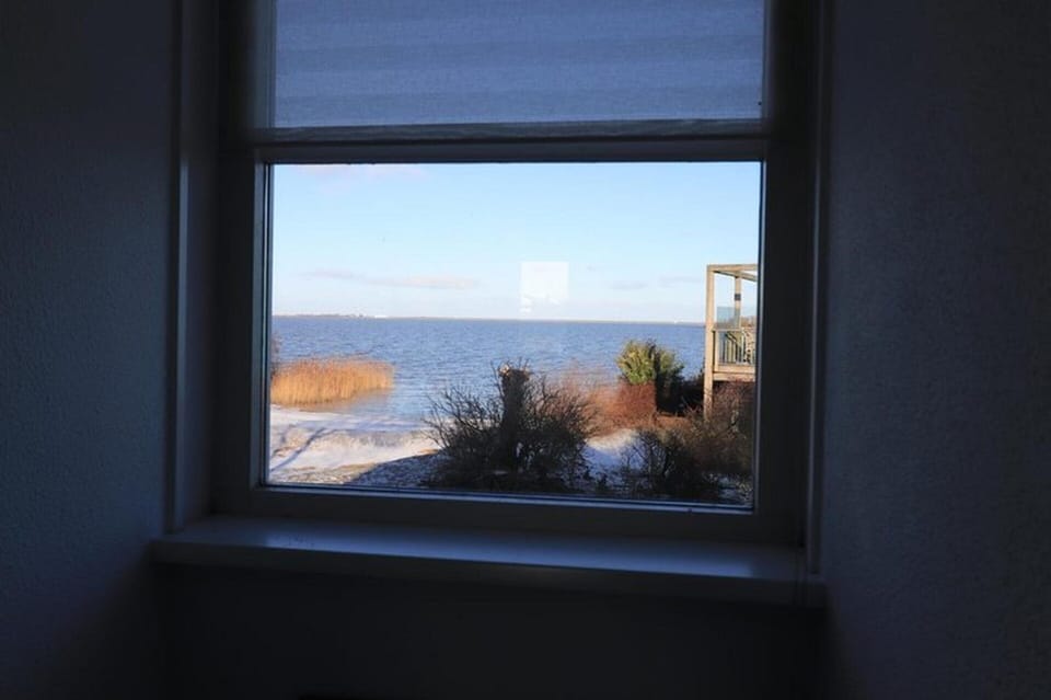 House | View from property