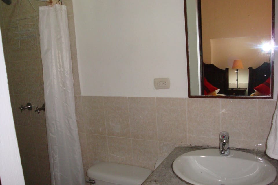 Shower, free toiletries, hair dryer (on request), towels