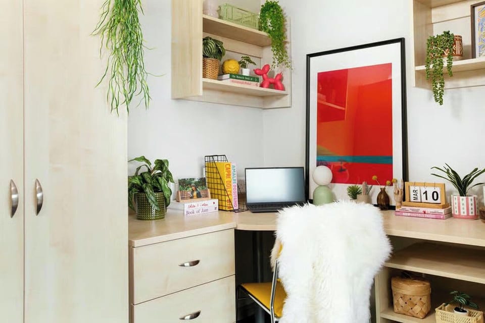 Single Room, Non Smoking | Interior