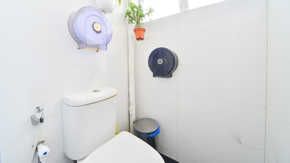 Shower, free toiletries, bidet, towels