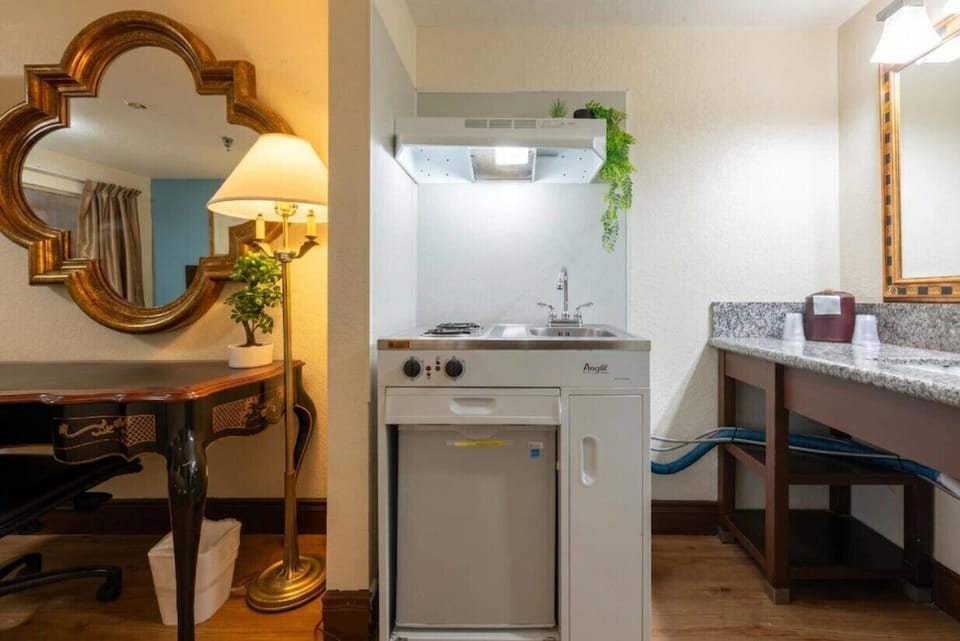 Deluxe Suite | Private kitchen | Oven, stovetop
