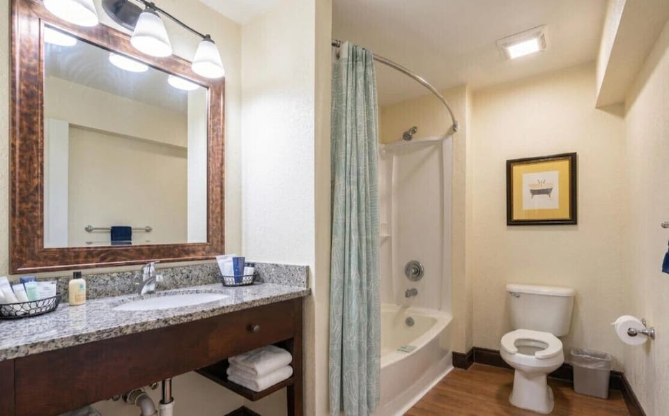 Towels, soap, toilet paper
