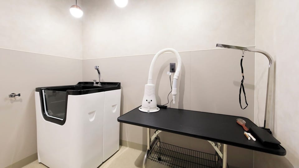 Hair dryer, slippers, towels, toilet paper