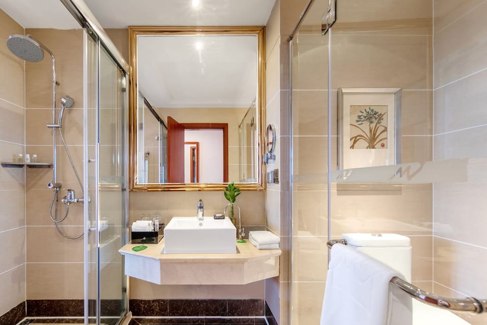 Business Double Room, City View | Bathroom | Free toiletries, hair dryer, slippers, towels
