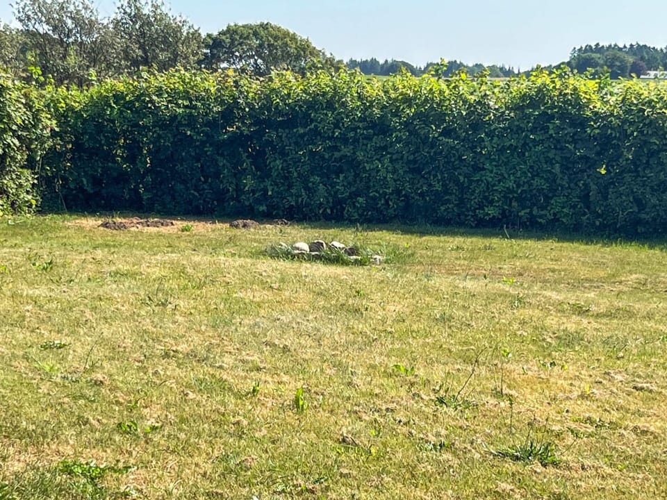 House | Property grounds