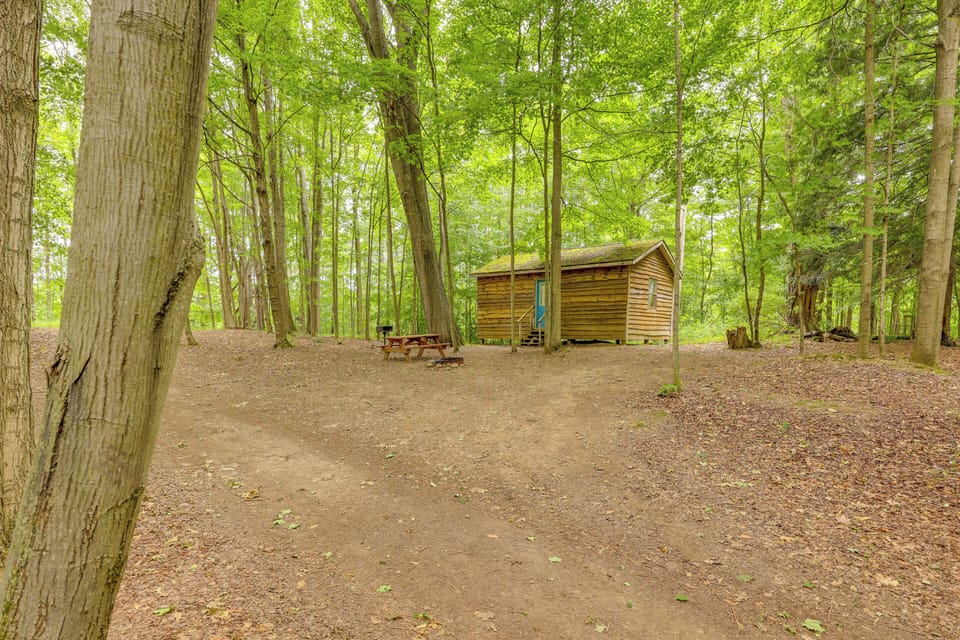 House (1 Bedroom) | Interior