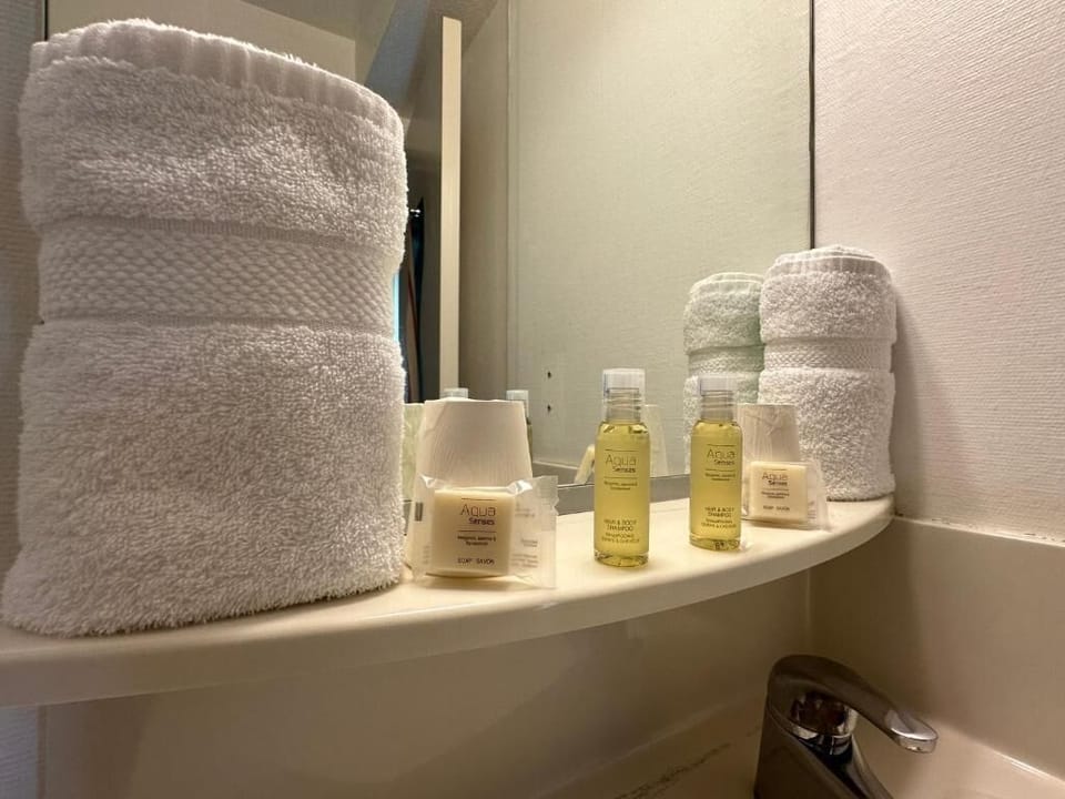 Shower, free toiletries, hair dryer, towels