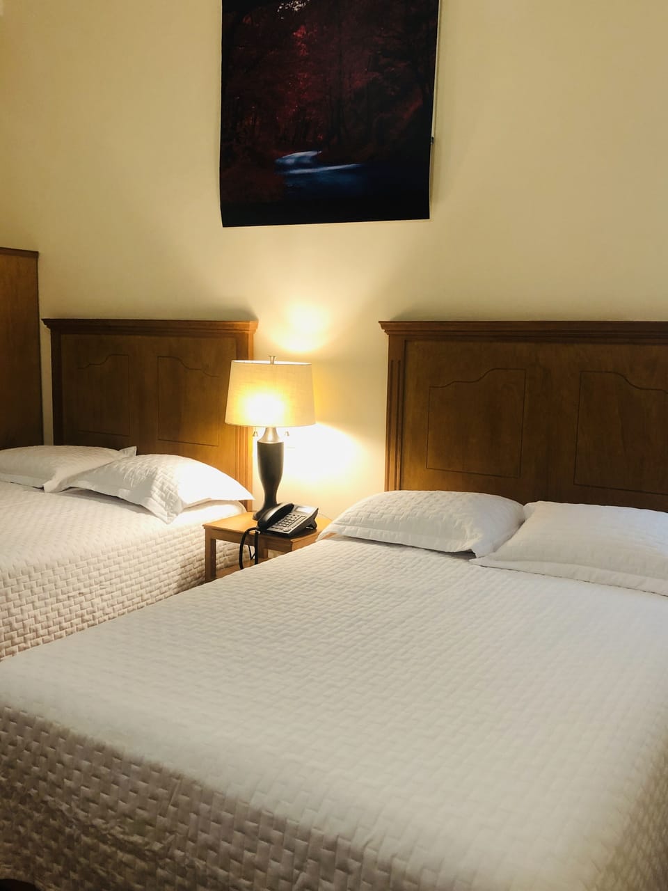 Standard Double Room | Desk, laptop workspace, blackout drapes, soundproofing