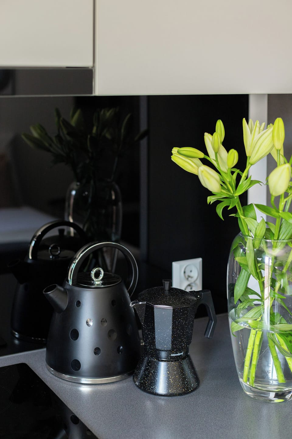 Apartment | Private kitchenette | Coffee/tea maker, full-size fridge, oven, stovetop