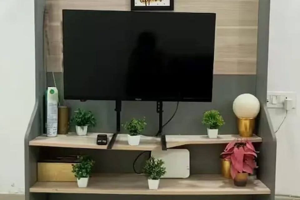 Television
