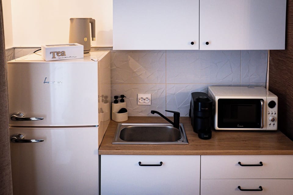 Apartment, Mountain View | Private kitchen | Eco-friendly cleaning products, paper towels