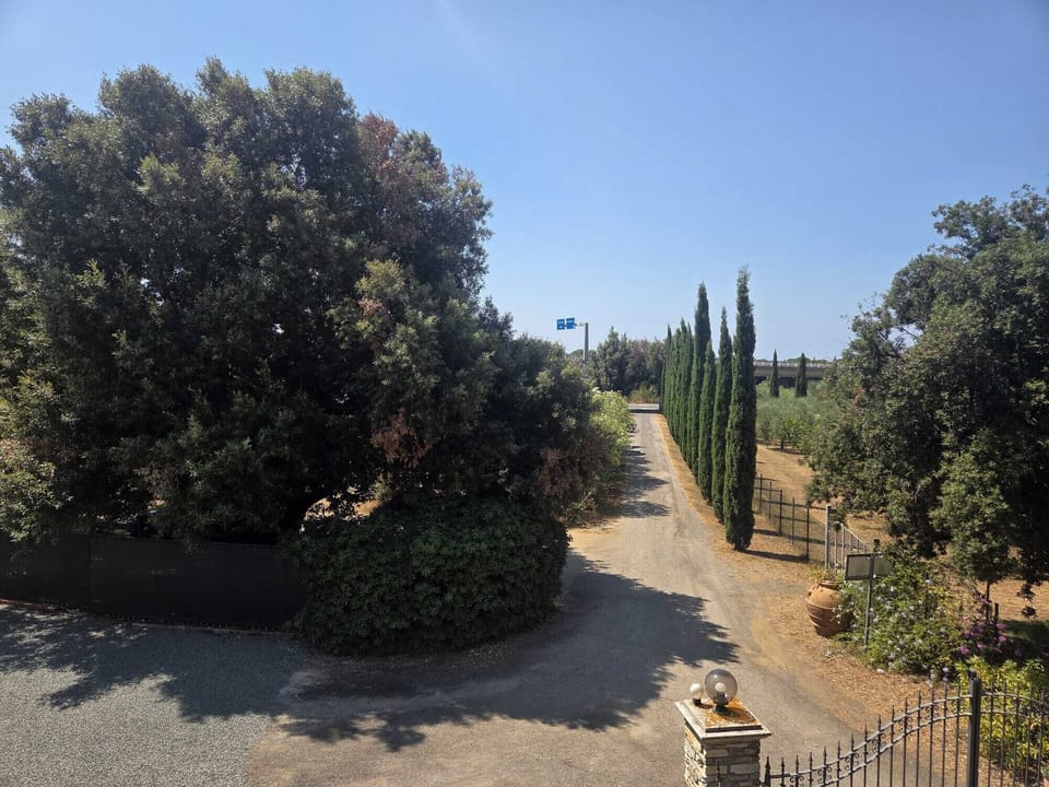 View from room